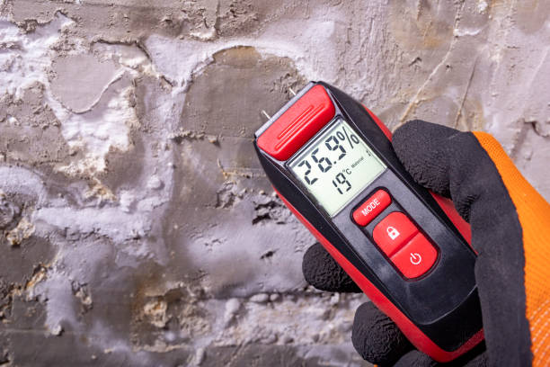Best Commercial Mold Removal  in East Bernard, TX