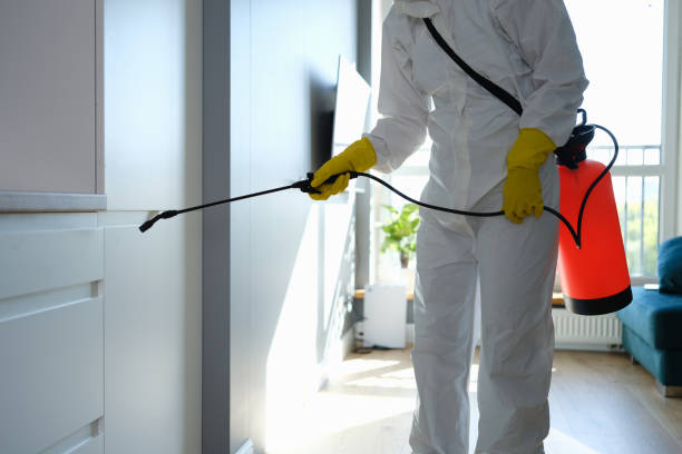 Best Toxic Mold Removal  in East Bernard, TX