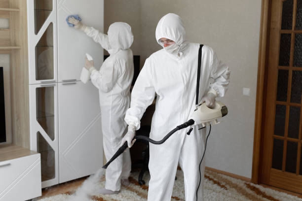 Best Toxic Mold Removal  in East Bernard, TX